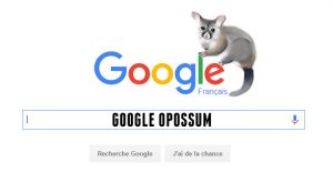google-opossum
